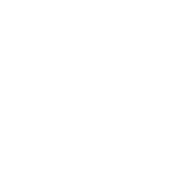 ZARKOVIC icon dimensions